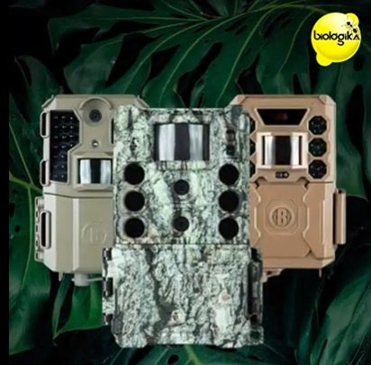 Cámaras Trampa Bushnell (24-32 MP) | Distribuidor Oficial Biologika Colombia