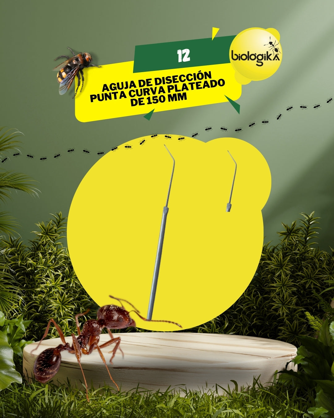 Aguja de diseccion punta curva. Marca Biologika®