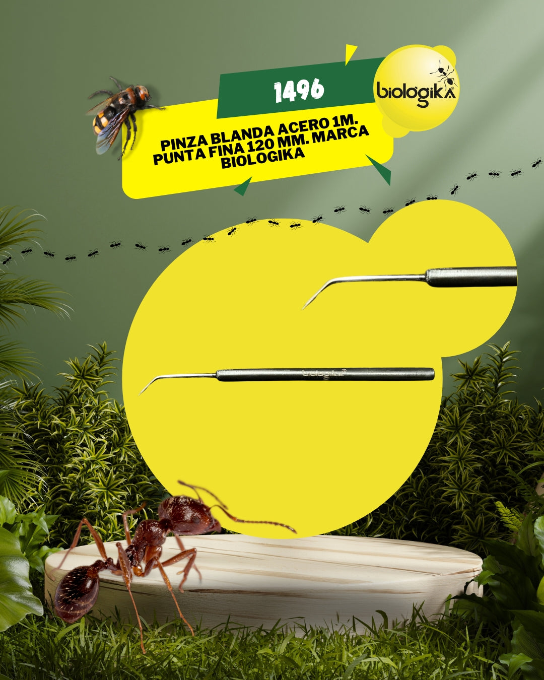 Aguja de diseccion punta curva. Marca Biologika®