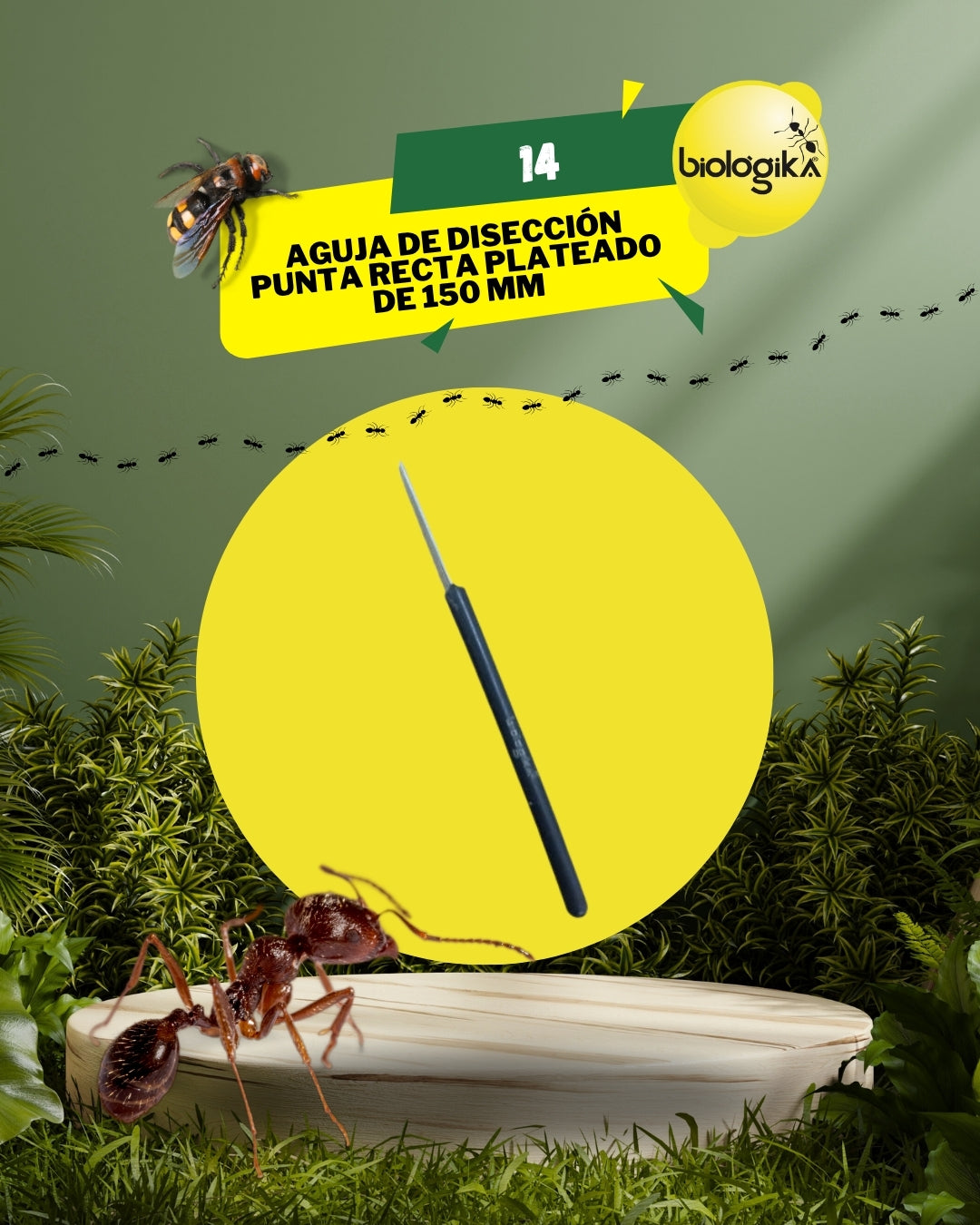 AGUJA DE DISECCIÓN PUNTA RECTA PLATEADO DE 150 MM