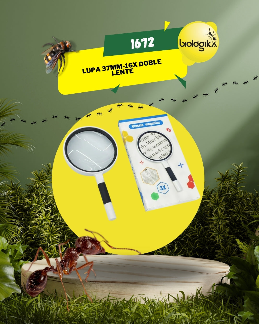 Lupa 37mm - 16x Doble Lente - Biologika®