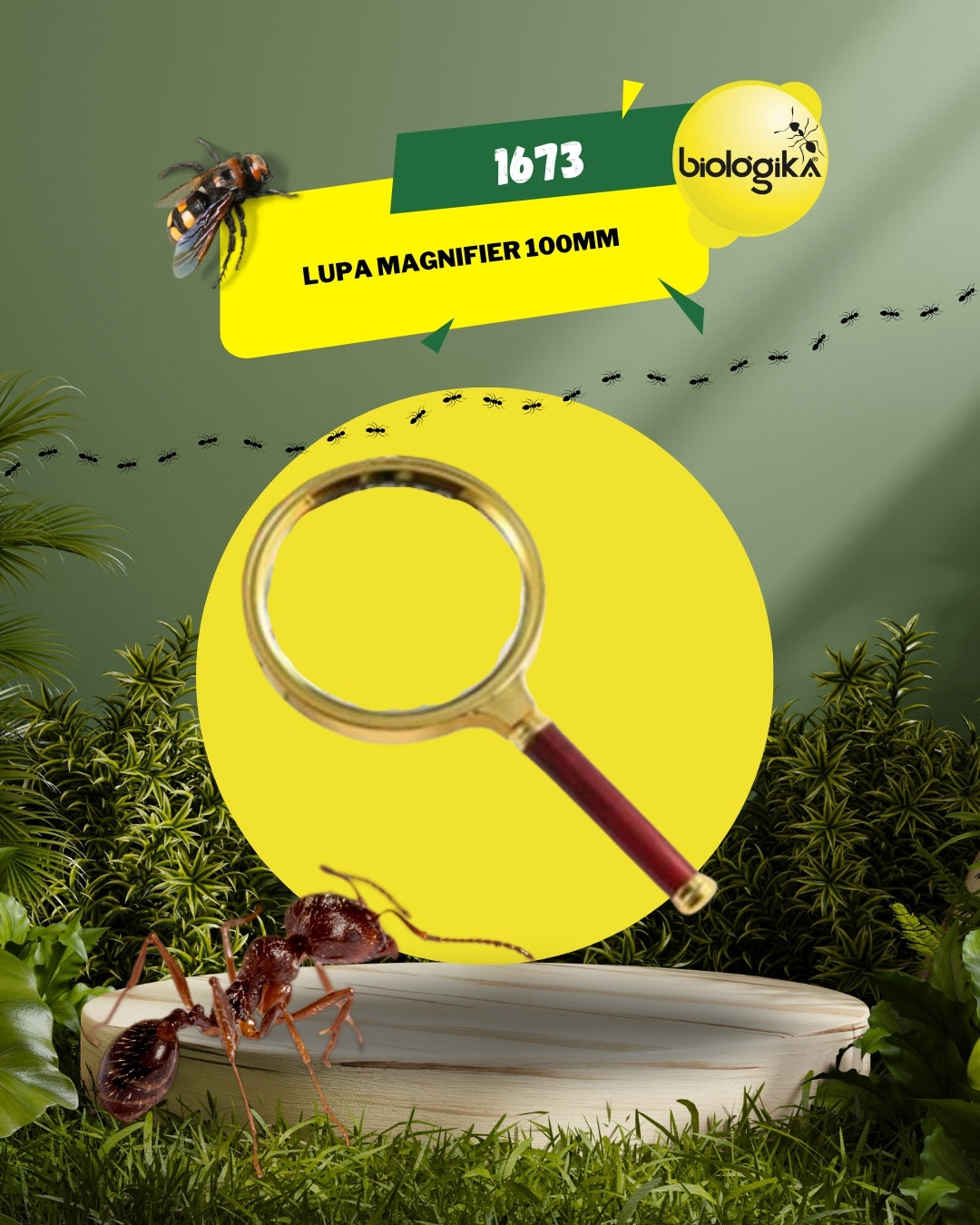Lupa De Magnifier 100 Mm