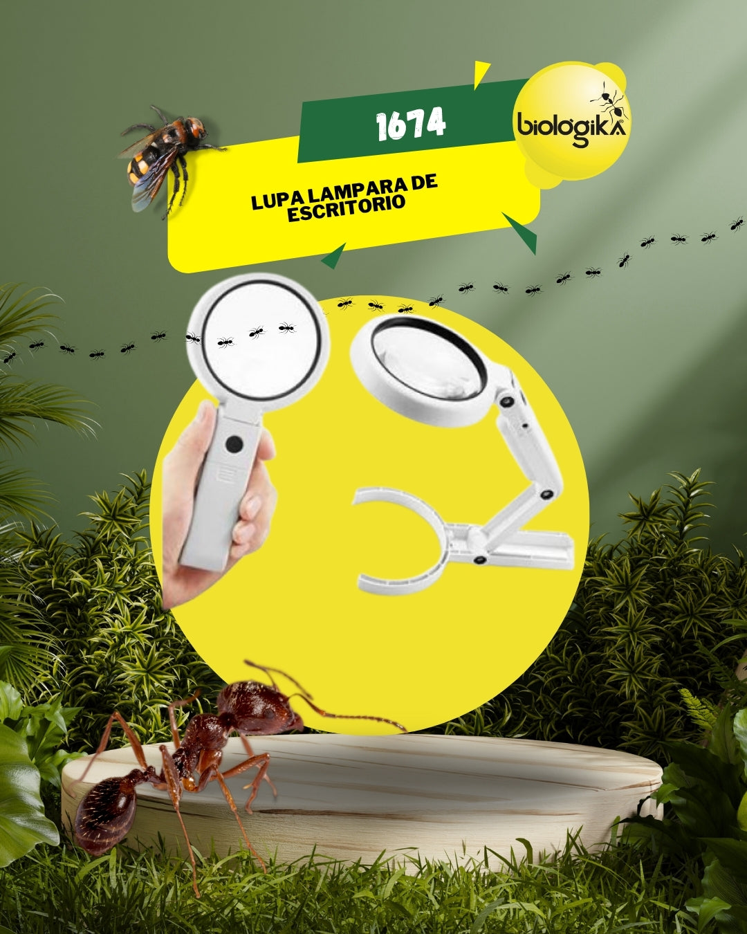 Lupa lampara de escritorio 5x - Biologika®