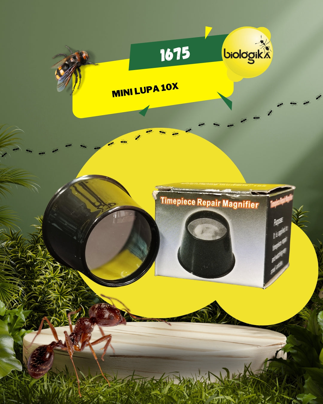 Mini lupa 10x - Biologika®