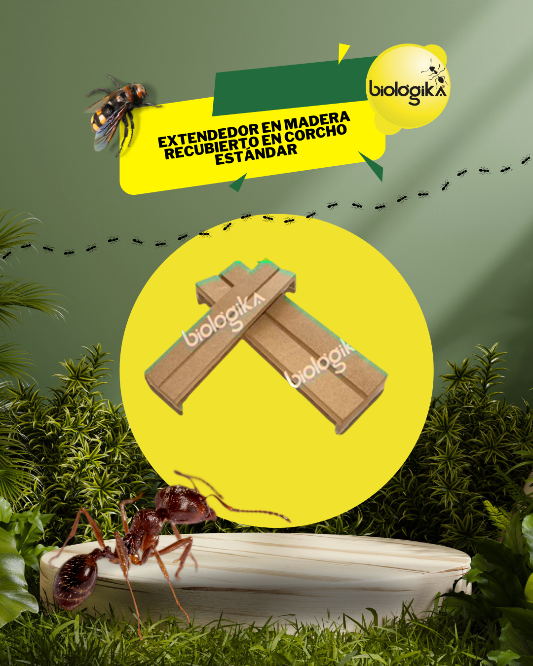 Extendedor para mariposas. Marca Biologika®