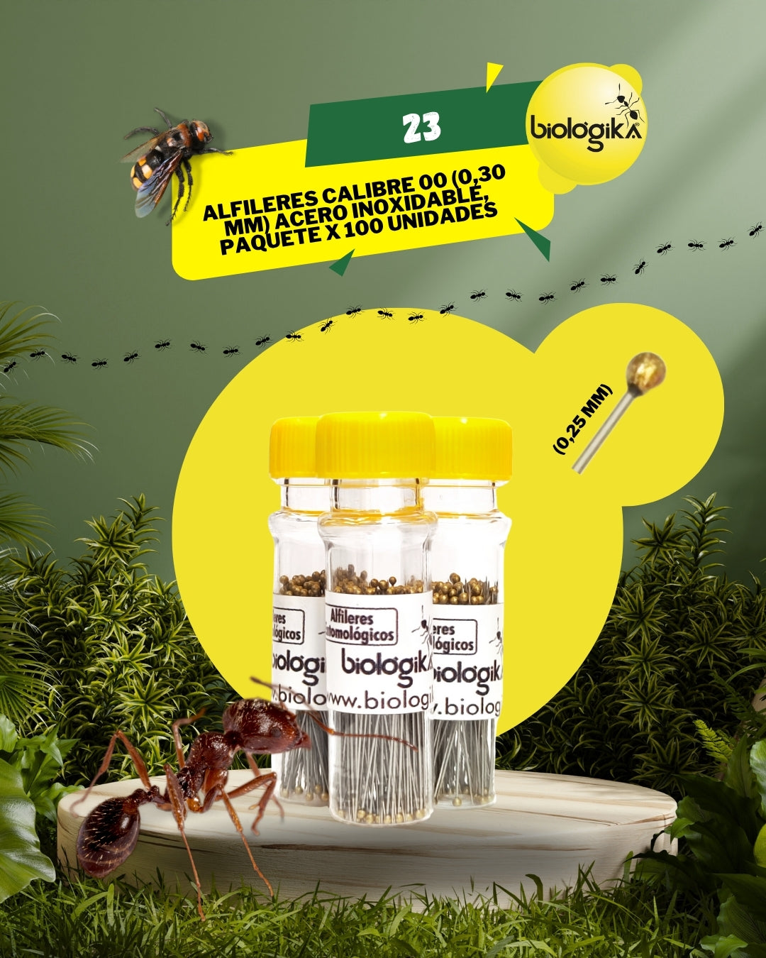 Alfileres entomológicos (Paquete x 100 unidades). Marca Biologika®