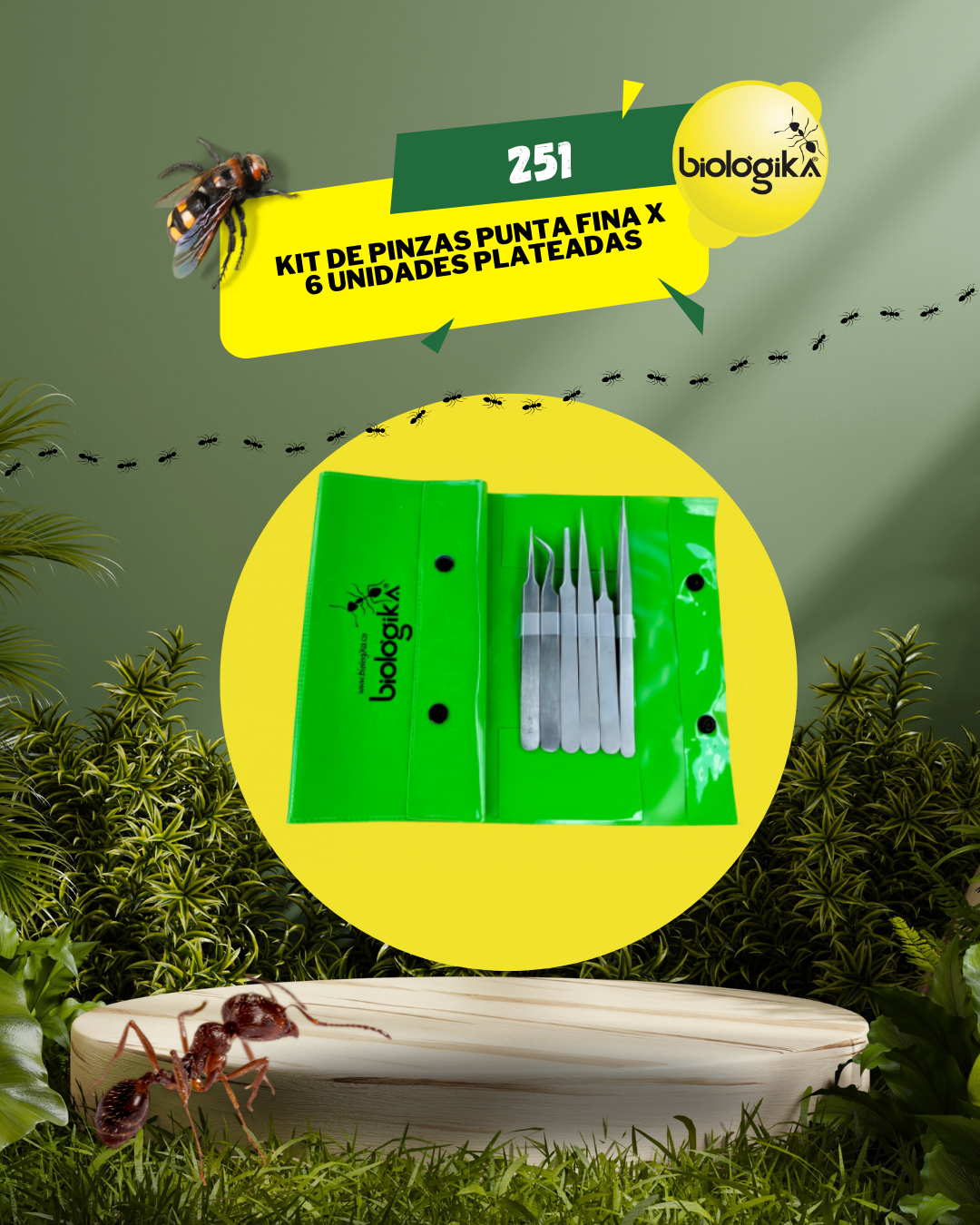 Kit de pinzas entomológicas (6 unidades). Marca Biologika®