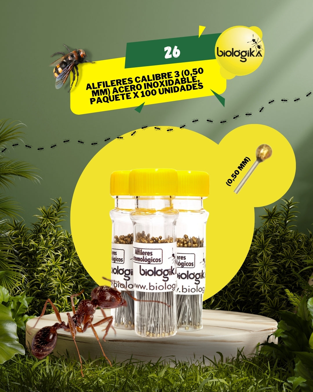 Alfileres entomológicos (Paquete x 100 unidades). Marca Biologika®