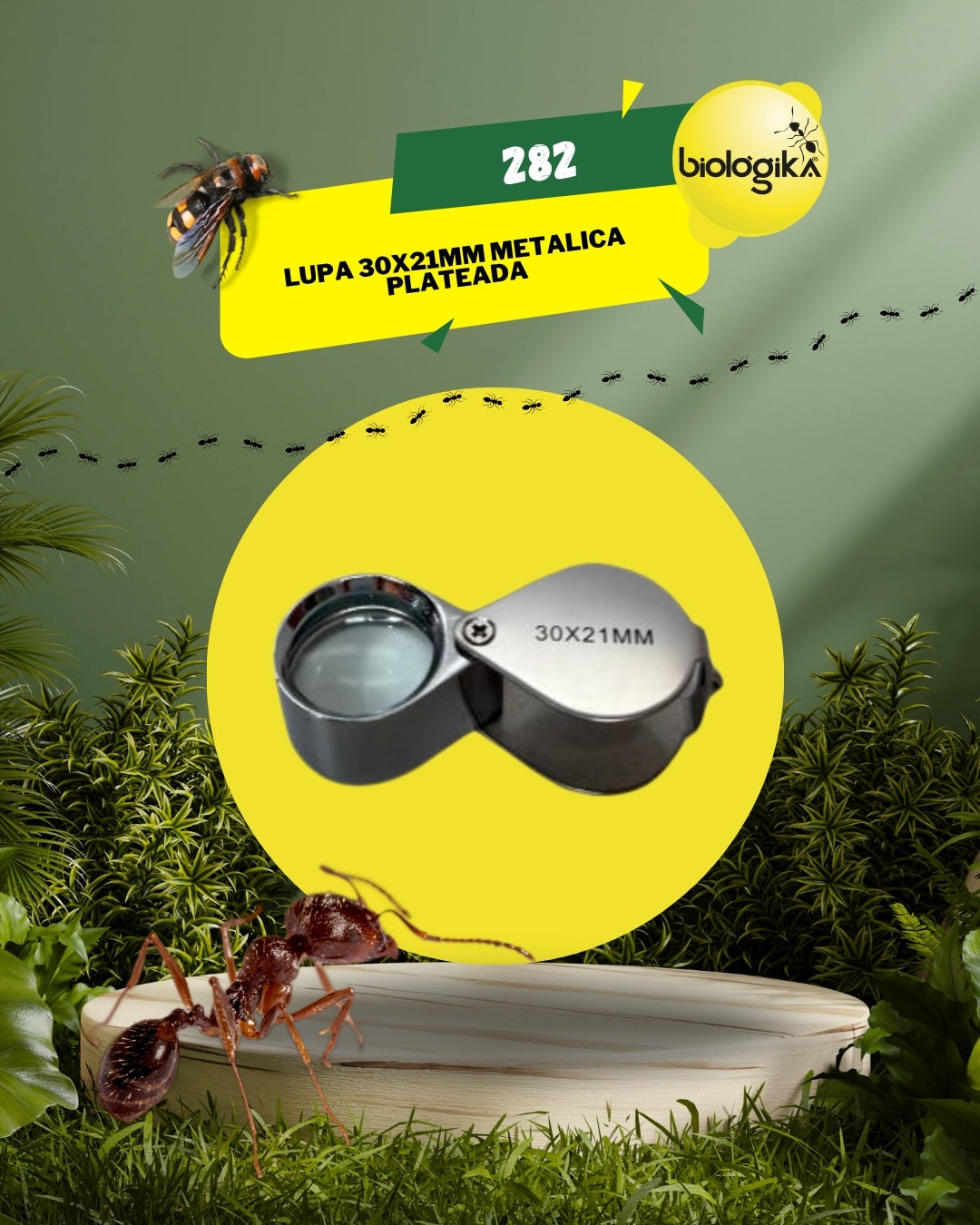 Lupa de 30x21mm Entomologica Metálica - Biologika®