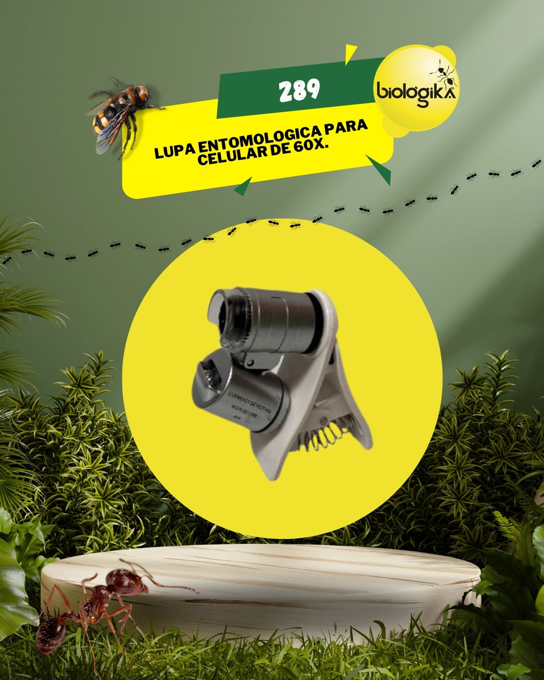 Lupa entomologica para celular de 60x