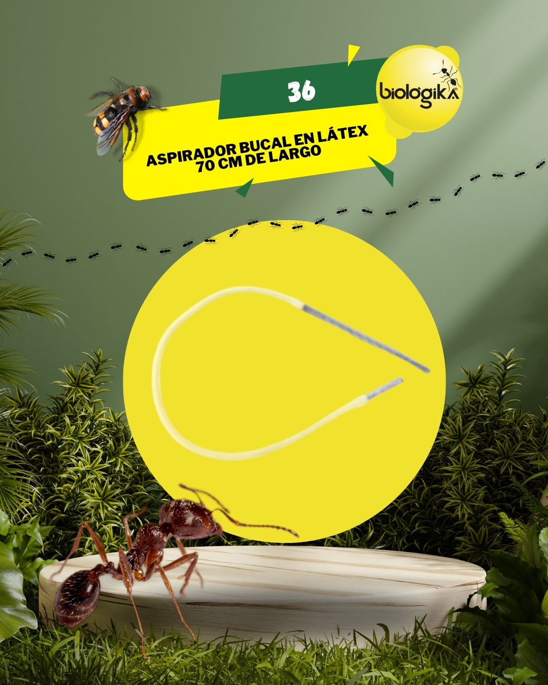 Aspirador bucal en látex 70 cm. Marca Biologika®