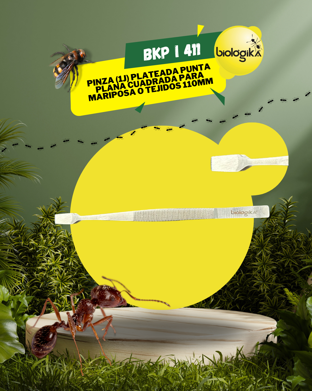 Pinza para mariposas, Punta Plana Cuadrada. Marca Biologika®