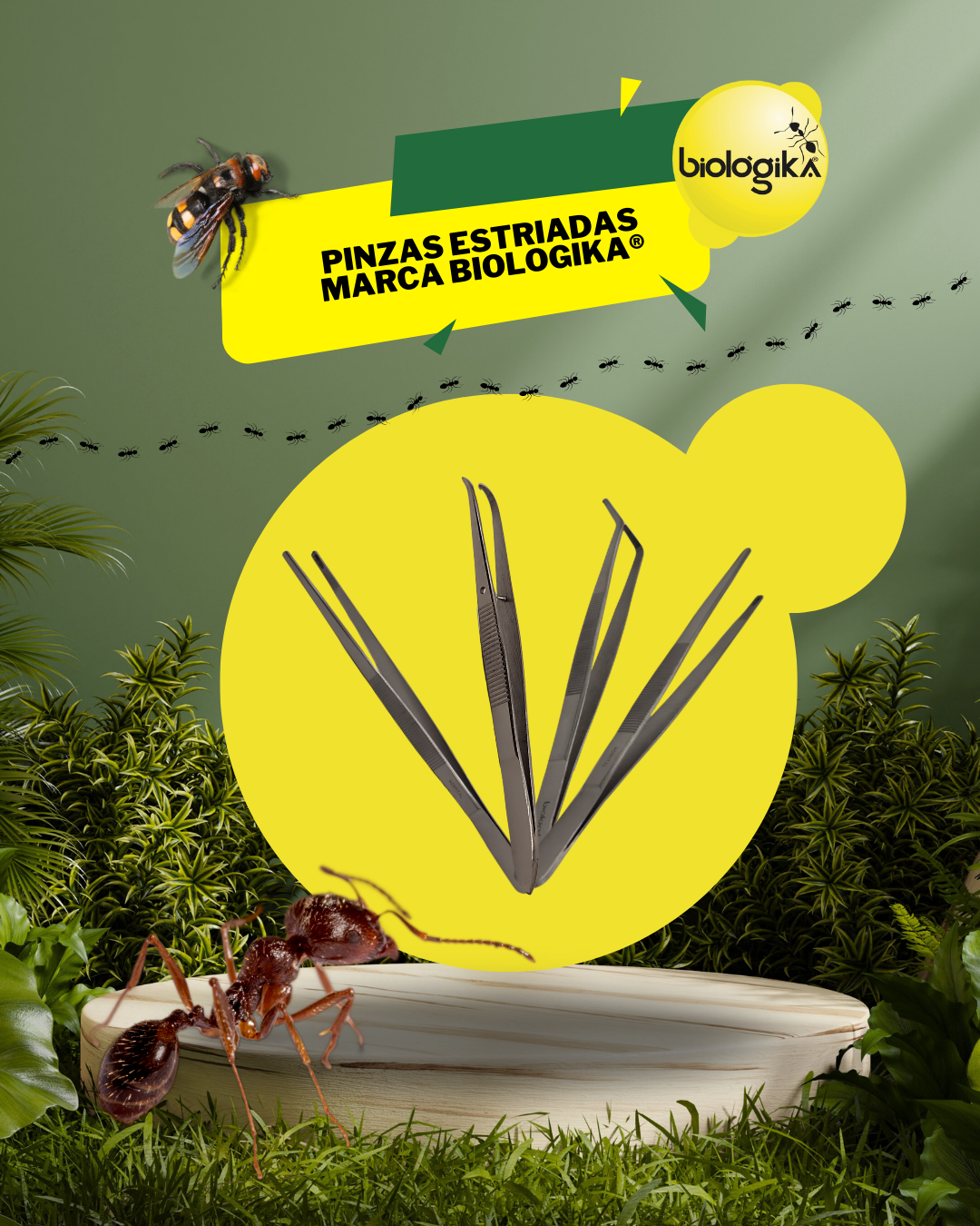 Pinzas Estriadas. Marca Biologika®