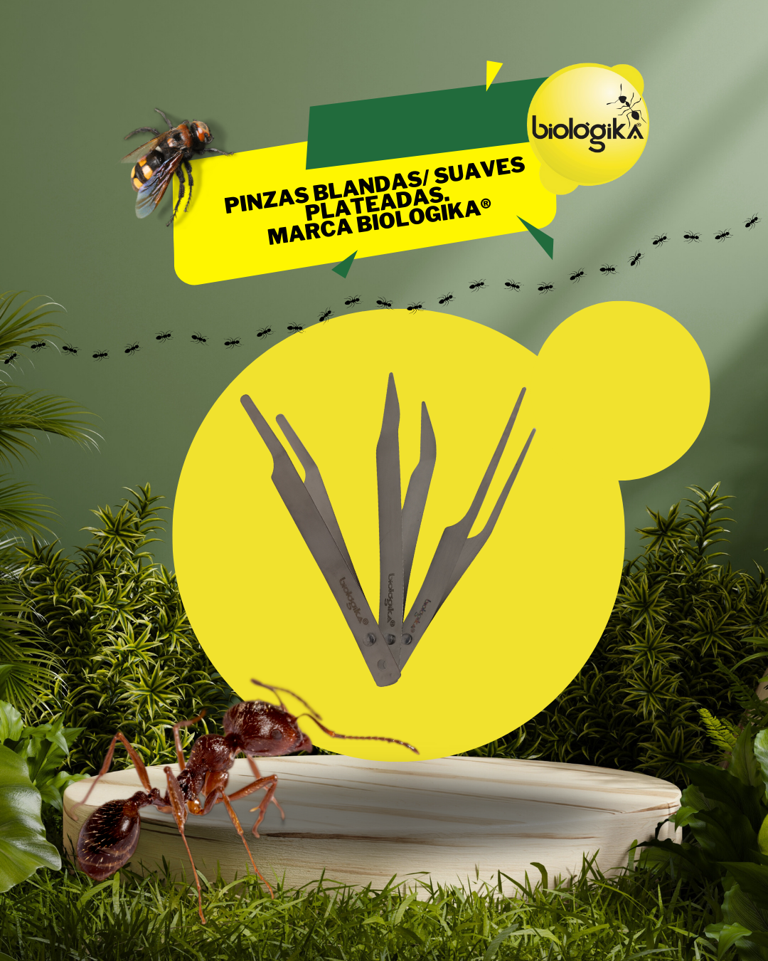 Pinzas Blandas/ Suaves plateadas. Marca Biologika®