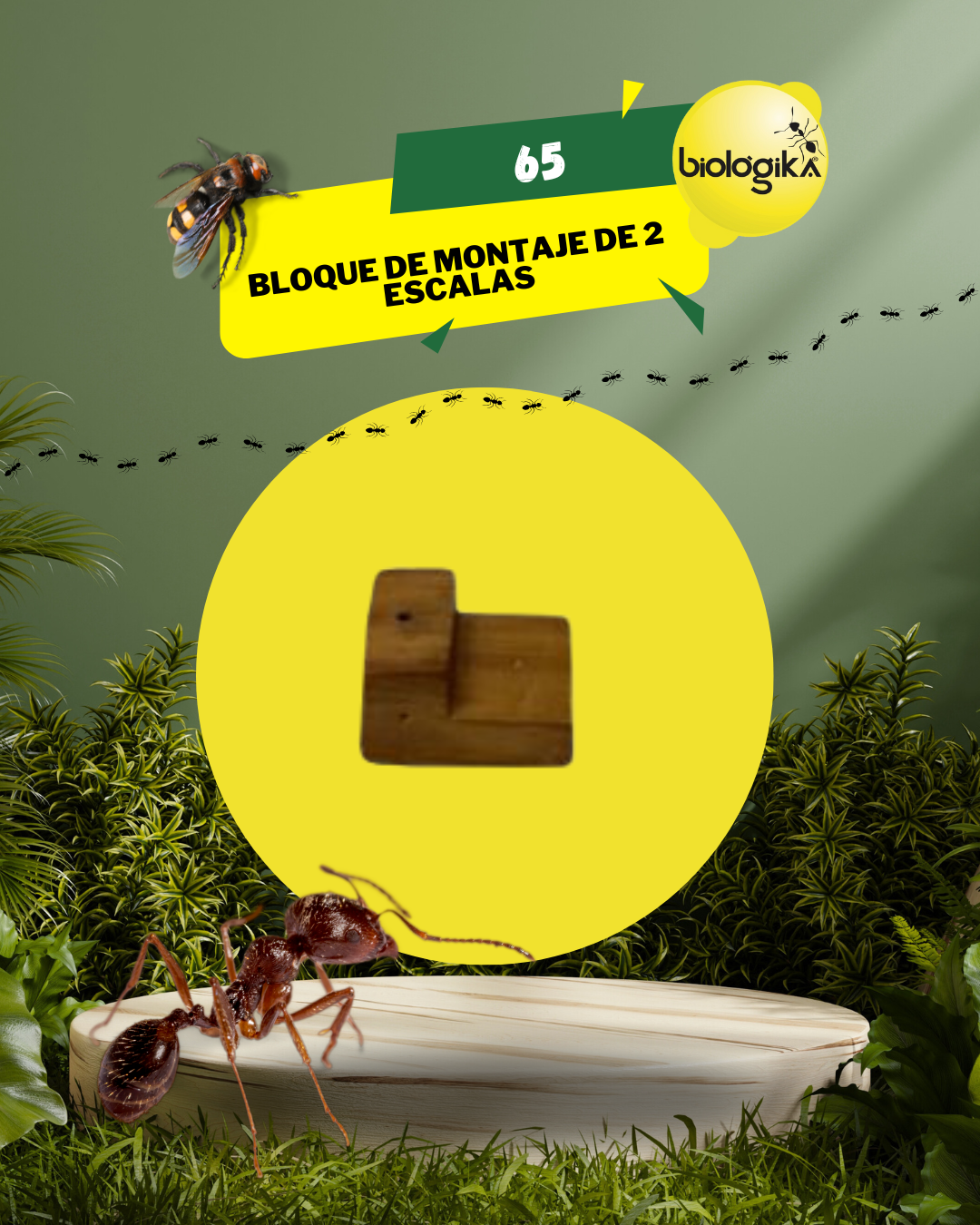 Bloques de montaje. Marca Biologika®