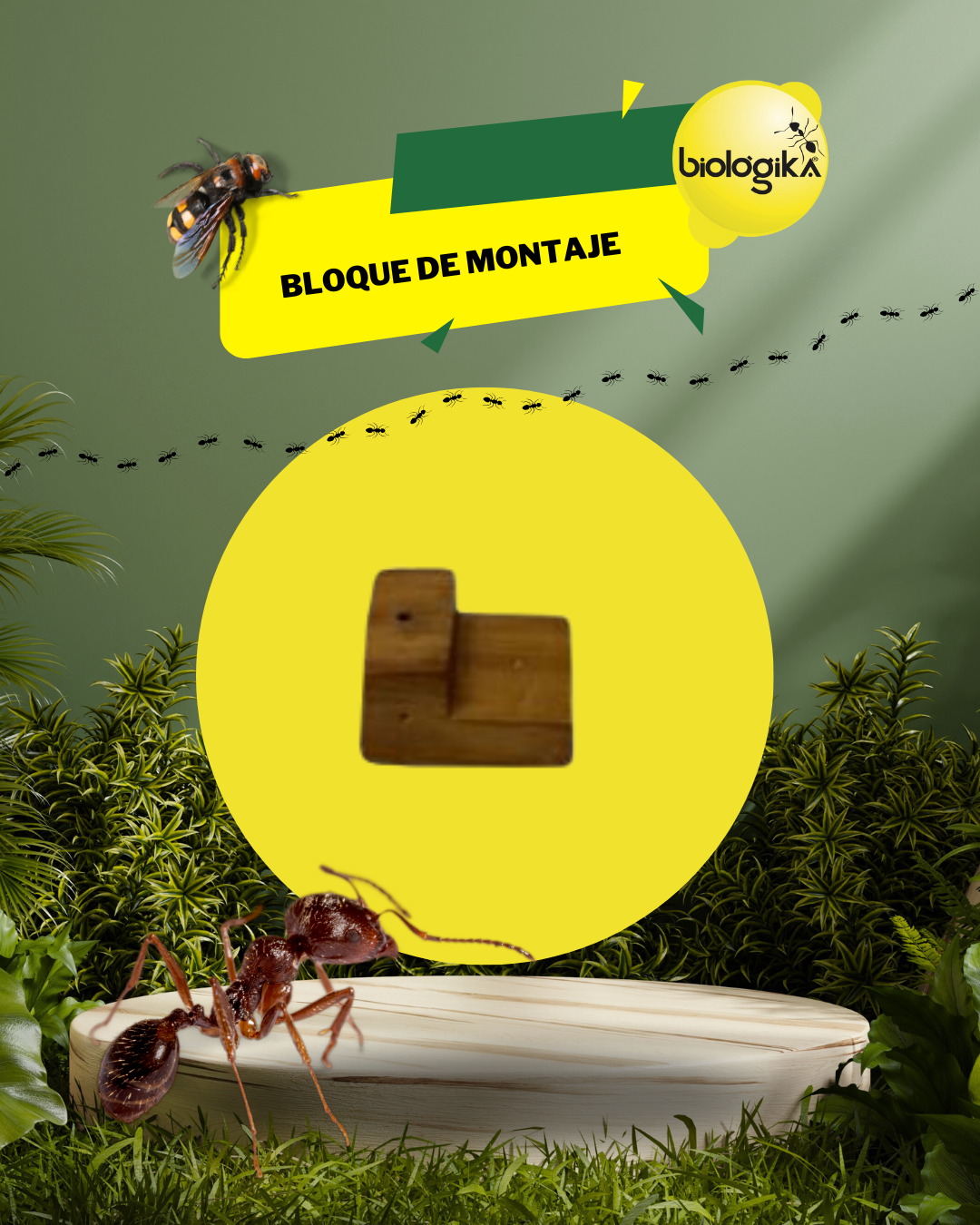 Bloques de montaje. Marca Biologika®