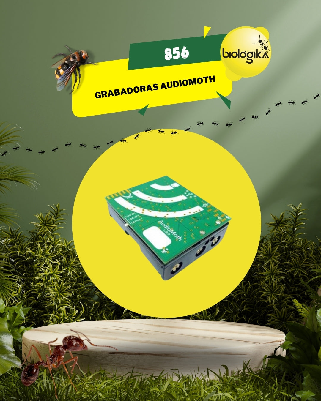 Grabadora acústica Audiomoth (no incluye caja protectora)