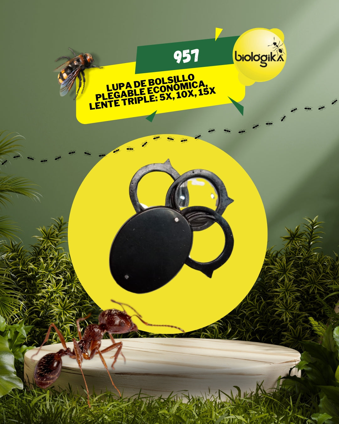 Lupa de bolsillo plegable lente triple: 5x, 10x, 15x - Biologika®