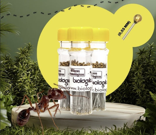 Alfileres entomológicos (Paquete x 100 unidades). Marca Biologika®