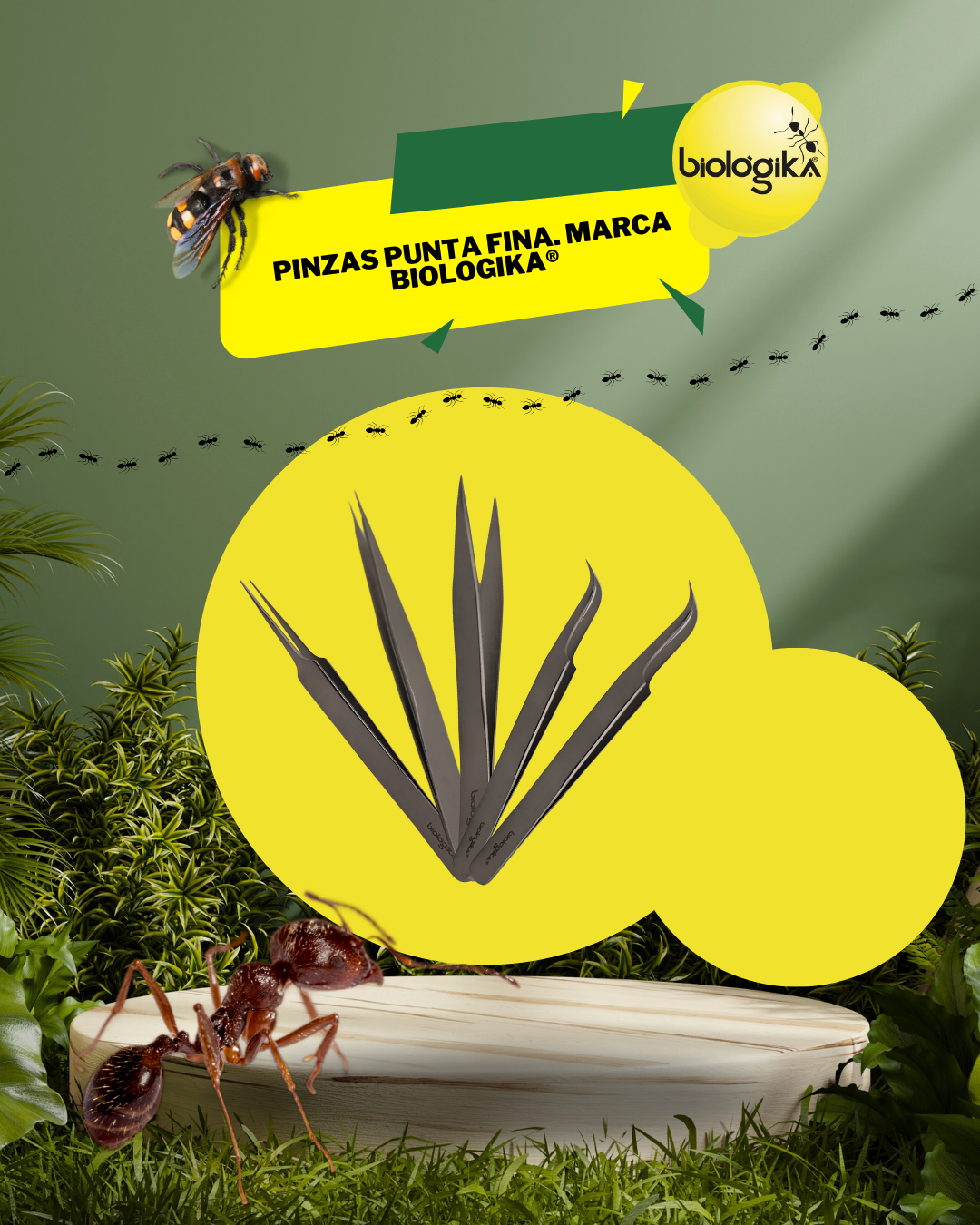 Pinzas Punta Fina. Marca Biologika®