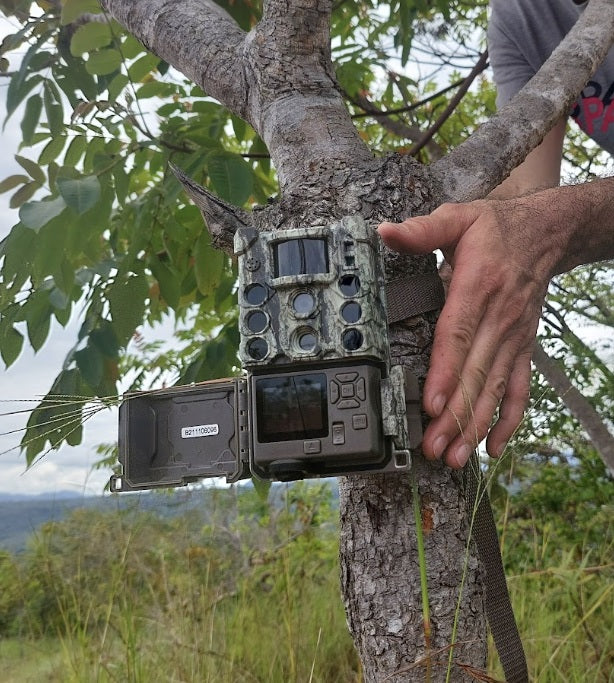 Camara Trampa Bushnell Core DS-4K No Glow 32 MP