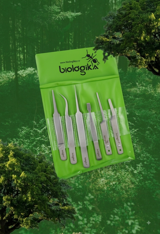 Kit de pinzas entomológicas (6 unidades). Marca Biologika®