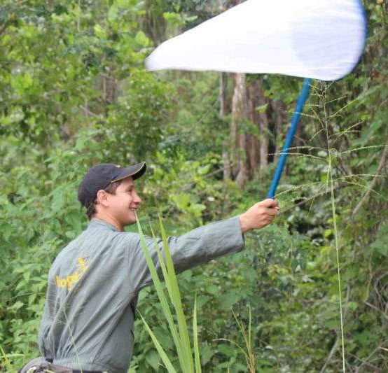 Redes para muestreo de insectos (Jamas de entomológia fijas). Marca Biologika®