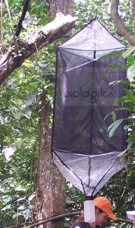 Trampa Malaise de dosel. Marca Biologika®