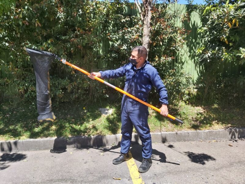 nasa mamiferos