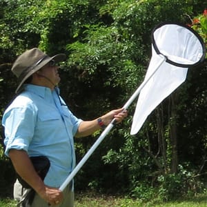Redes para muestreo de insectos (Jamas de entomológia telescópicas). Marca Biologika®