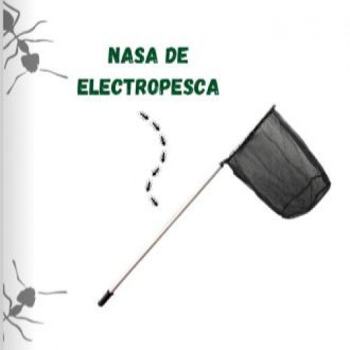 Nasa para red electropesca mango telescópico (de 119 cm a 240 cm) - www.biologika.co