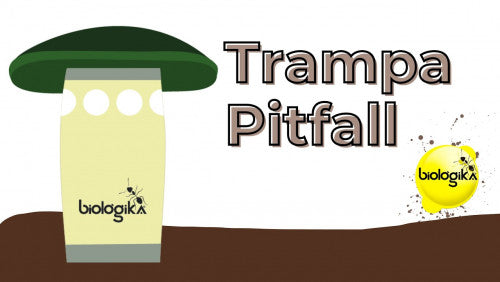 Trampa pitfall de 500 cc - www.biologika.co