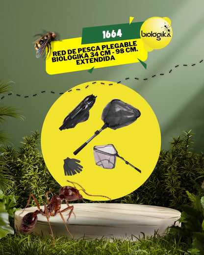 Red de pesca Plegable  60 Cm sin extender a 200 Cm. Extendida (nasa para peces, camarones, cangrejos y langostilla