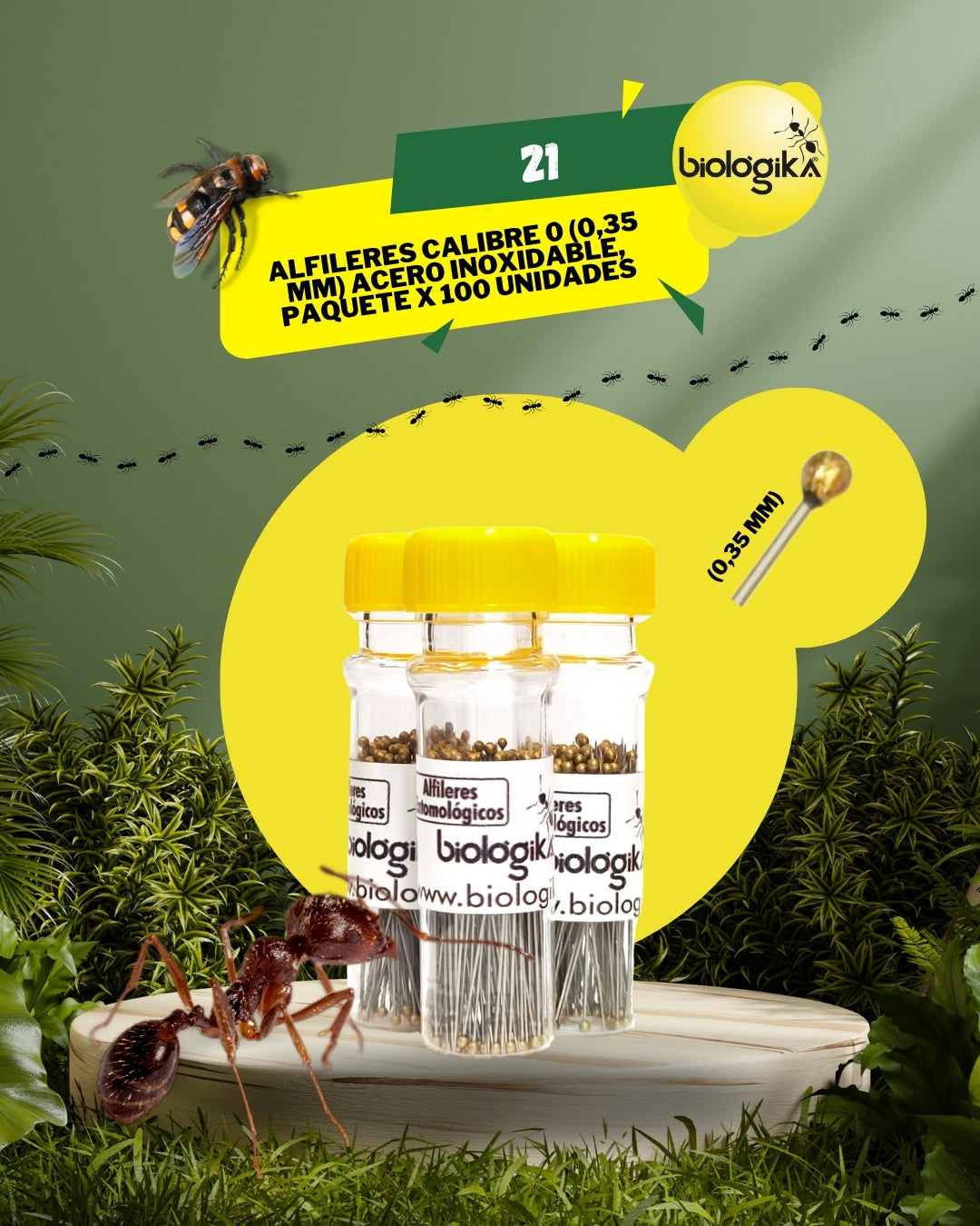 Alfileres entomológicos (Paquete x 100 unidades). Marca Biologika®
