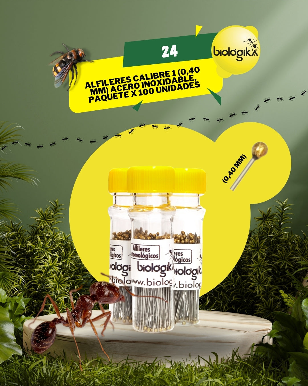Alfileres entomológicos (Paquete x 100 unidades). Marca Biologika®