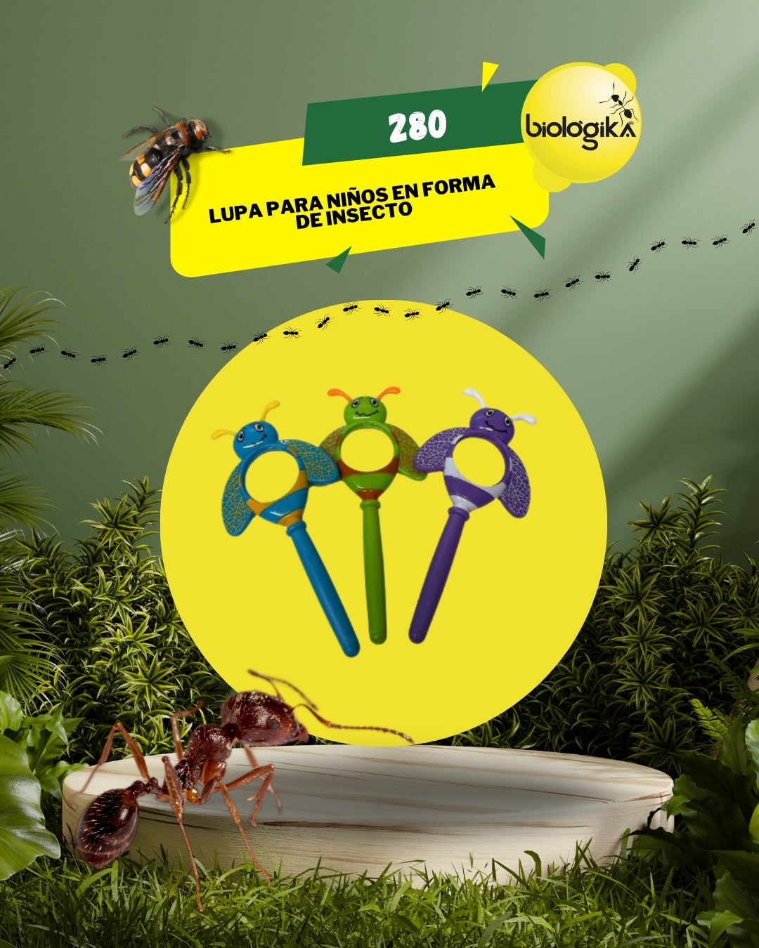 Lupa para niños en forma de insecto Marca Biologika®