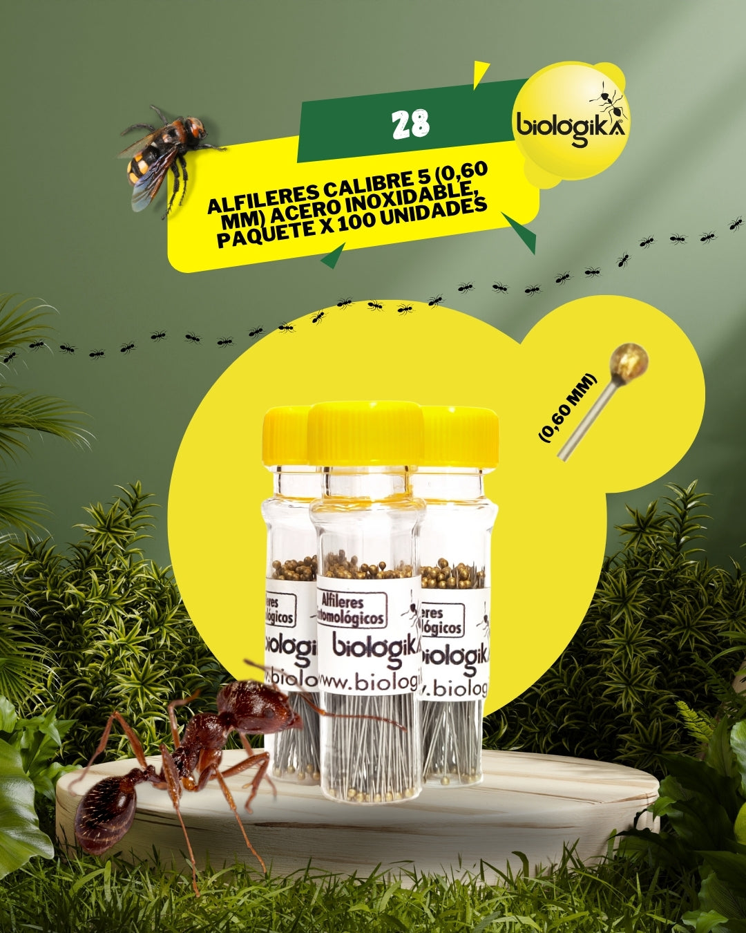 Alfileres entomológicos (Paquete x 100 unidades). Marca Biologika®