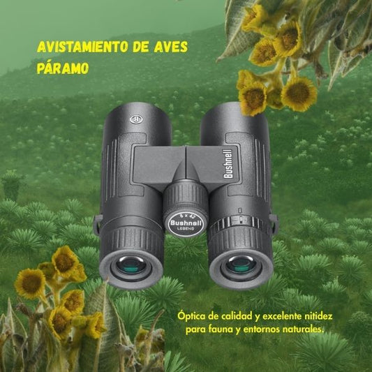 BINOCULAR BUSHNELL LEGEND 8X42 MM