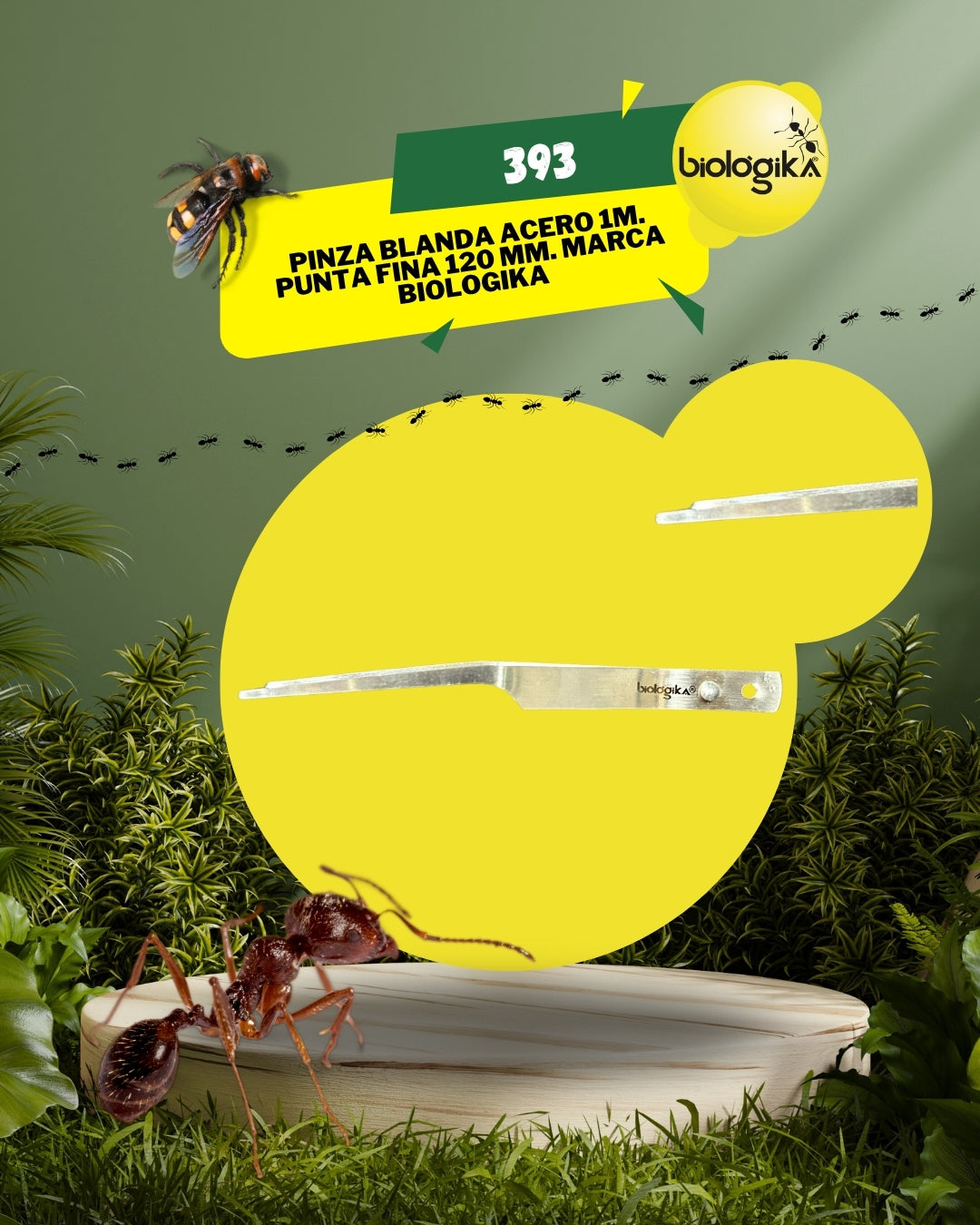 Pinzas para manipular insectos (Entomologia)  Marca Biologika®