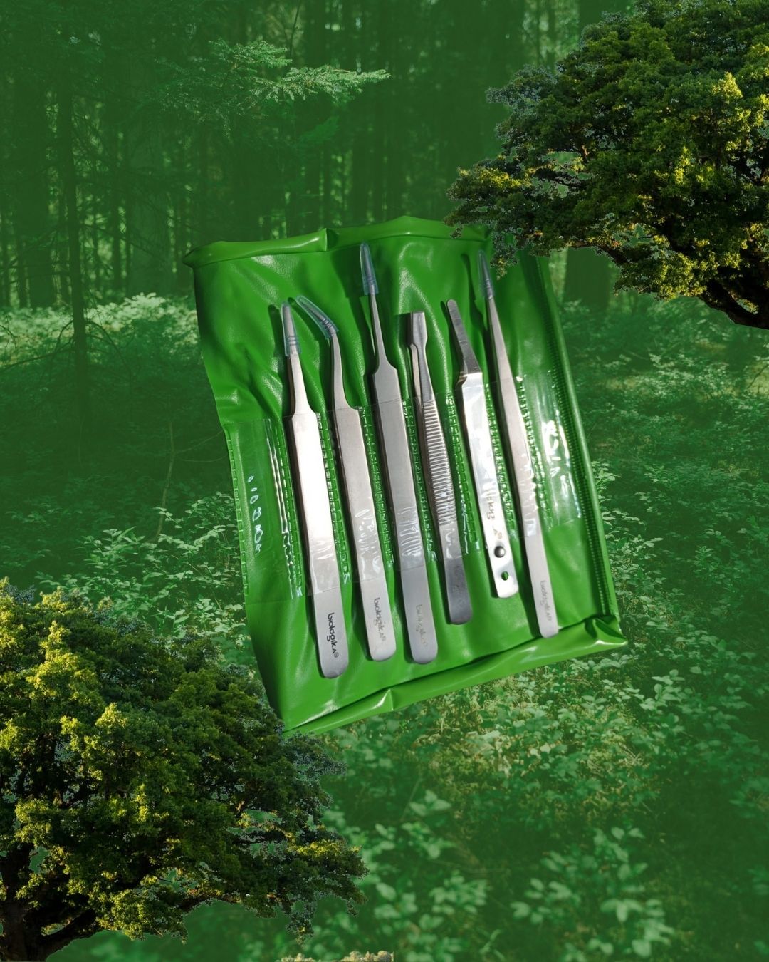 Kit de pinzas entomológicas (6 unidades). Marca Biologika®