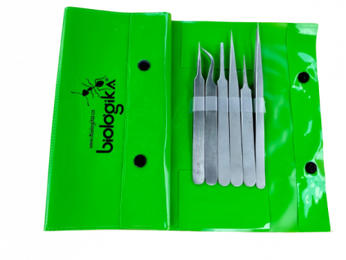 KIT DE PINZAS PUNTA FINA X 6 UNIDADES