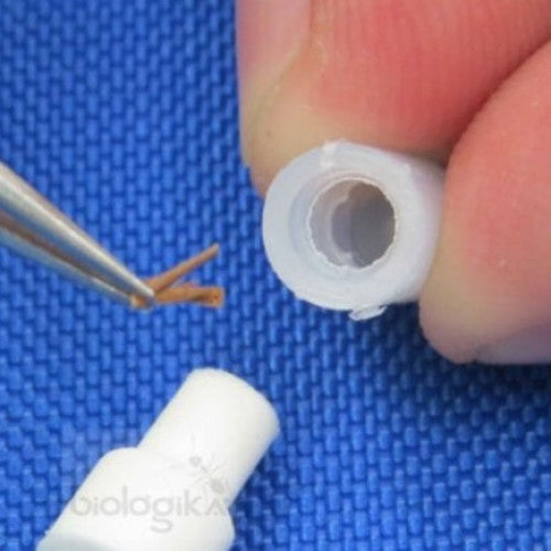 Micro vials de genitalia plastico 5.2 mm (emp x 100) - www.biologika.co
