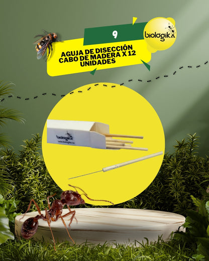 Agujas de disección entomológicas mango en madera. Marca Biologika®
