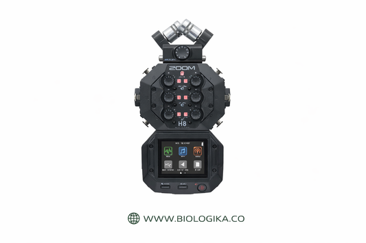 Grabadora de cantos Zoom H8