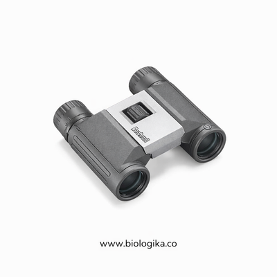 Binocular Bushnell Powerview Prism 8x21 Mm