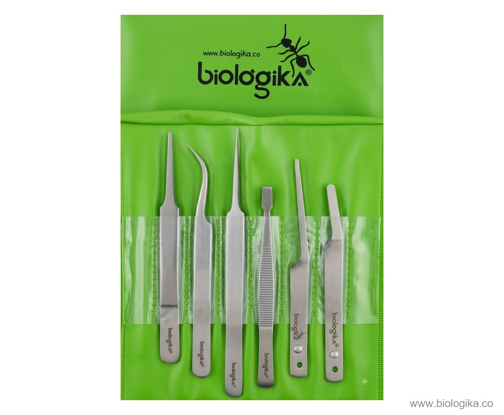 Kit de pinzas entomológicas (6 unidades). Marca Biologika®