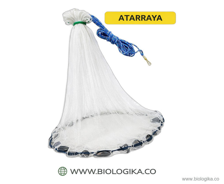 Atarrayas