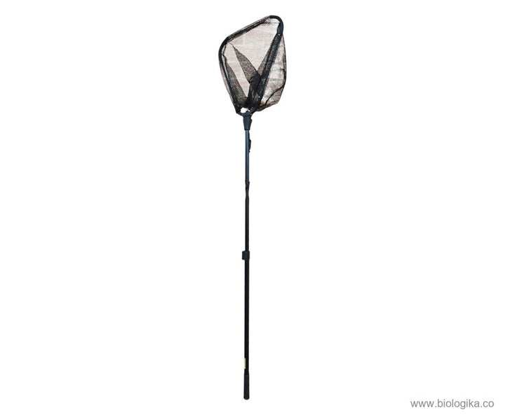 Red de pesca Plegable  60 Cm sin extender a 200 Cm. Extendida (nasa para peces, camarones, cangrejos y langostilla