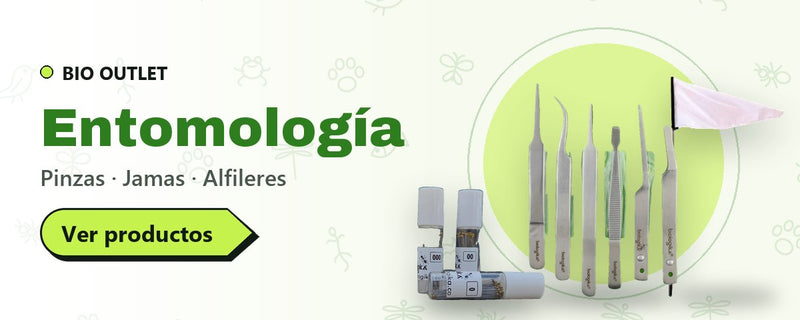 Entomología: pinzas, jamas y alfileres en BIO OUTLET