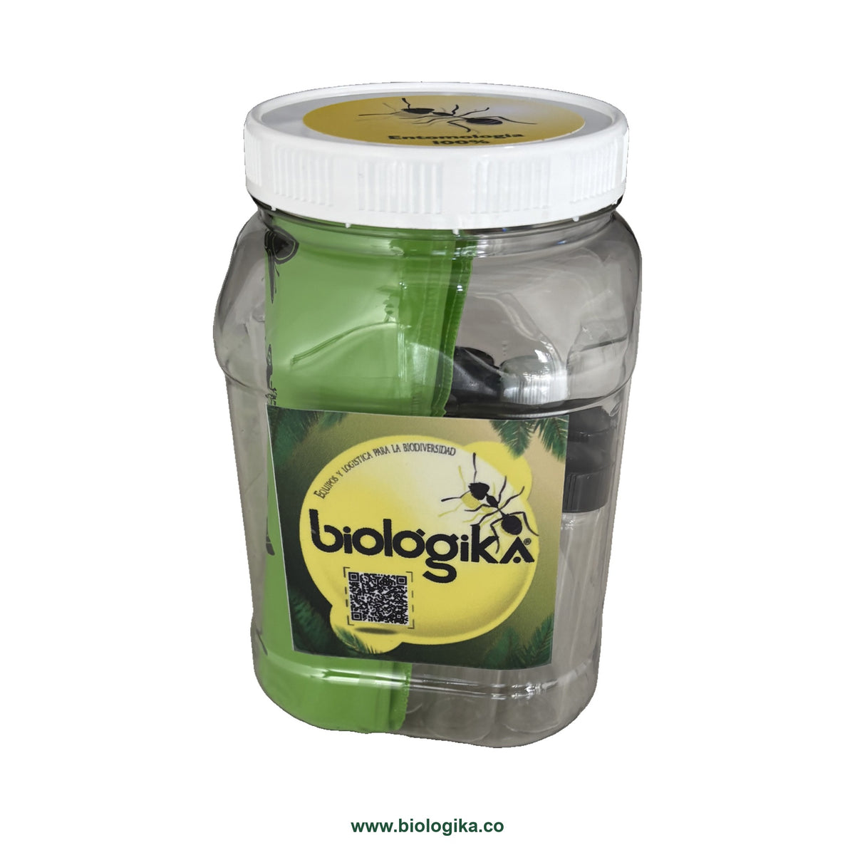 Kit Escarabajo entomología Biologika - www.biologika.co